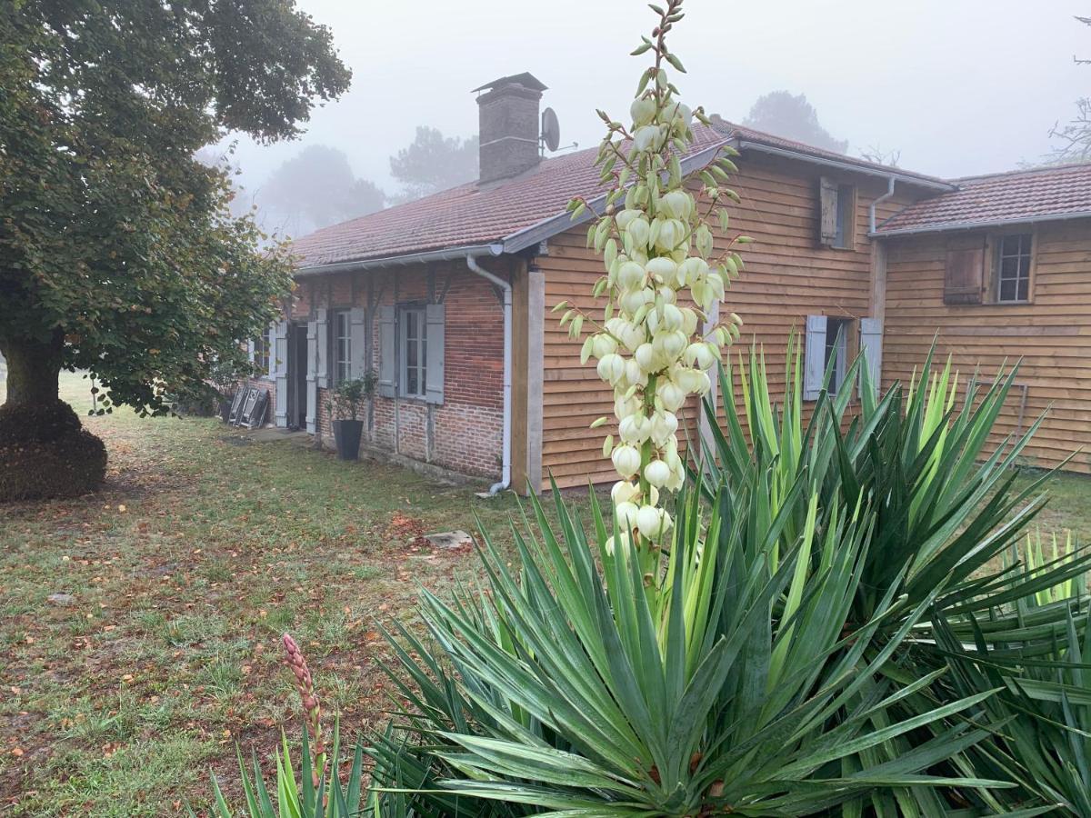 Maison Magnolia Onesse-et-Laharie Exterior foto